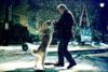 Professor and Hachi reunite in snow