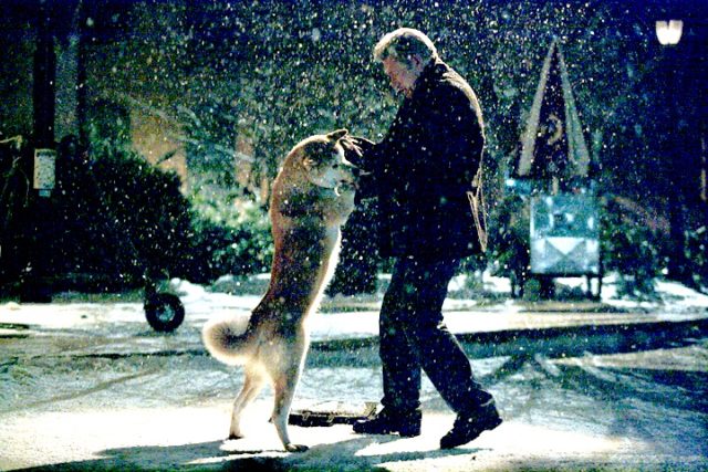 Professor and Hachi reunite in snow