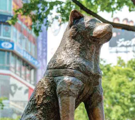 Shibuya Celebrates Hachiko Day! | Vicki Wong and Hachi