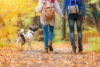 Young couple with dog walking in forest