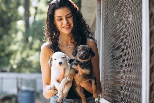 Woman volunteering at animal shelter