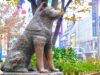 Hachi statue in Shibuya in fall