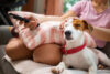 Woman watches TV with dog