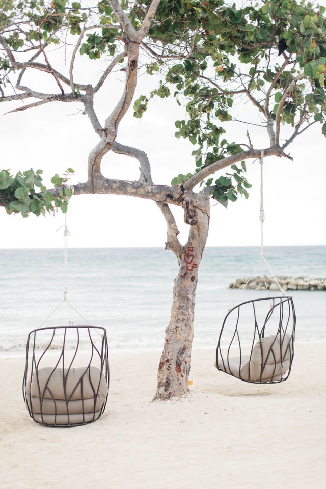 Chairs under tree on beach