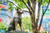 Hachi statue at Shibuya station